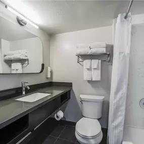 Guest room bath