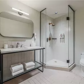 Guest room bath