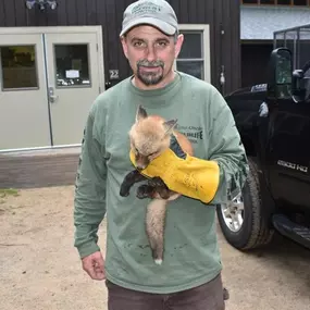 Bild von Alpha Omega Wildlife Control