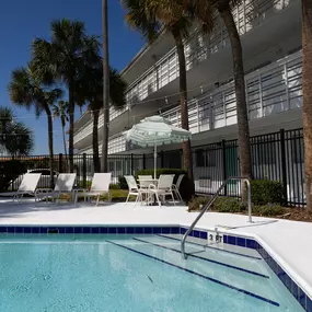 A pool surrounded by palm trees and lounge chairs