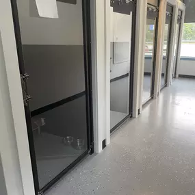A row of individual boarding suites with clear doors and raised beds at Playtime Pet Resort Exeter, allowing light and visibility while maintaining privacy and safety.