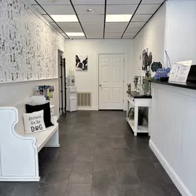 The Exeter lobby is welcoming and thoughtfully designed with a white bench, dog-themed wallpaper, and retail products including leashes and treats.