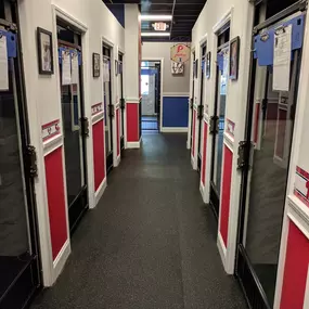 A clean and colorful hallway featuring individual dog boarding suites at Playtime Pet Resort in King of Prussia. Each room is customized for comfort and monitored for safety.