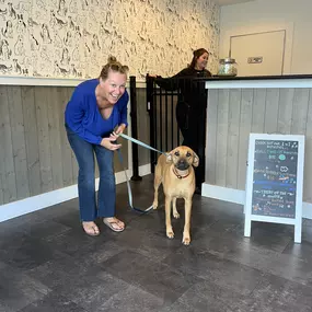 A guest checks in her happy dog at the front entrance of Playtime Pet Resort Newington. The modern space features dog-themed wallpaper, a welcoming reception gate, and a chalkboard sign promoting personalized activities like ball time and treats.