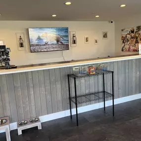 The reception area at Playtime Pet Resort Newington is stylish and pet-friendly, with wood paneling, dog-themed artwork, and retail displays for leashes and treats. The lobby provides a clean, organized space for check-in and guest interactions.