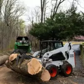 Bild von Tree State Property Maintenance