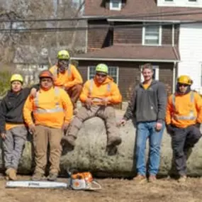 Bild von Tree State Property Maintenance