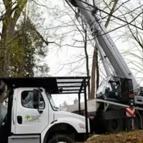 Bild von Tree State Property Maintenance