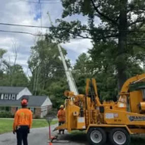 Bild von Tree State Property Maintenance