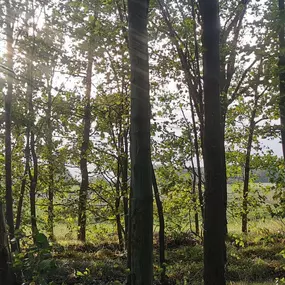 Bild von Psychotherapeutische Praxis Manuela Küster