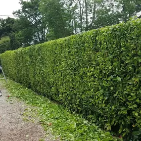 Bild von 1st Choice Landscapes