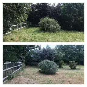 Bild von 1st Choice Landscapes