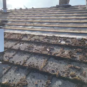 Bild von Next Step Building & Renovations