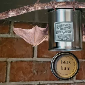 Bild von Matty's Hand Made Candles
