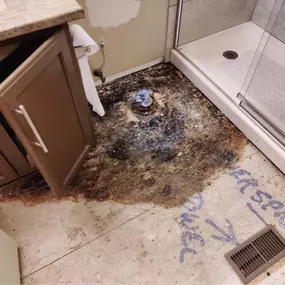 mold removal