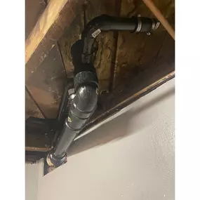 mold removal in the basement