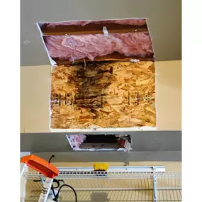 mold removal behind drywall