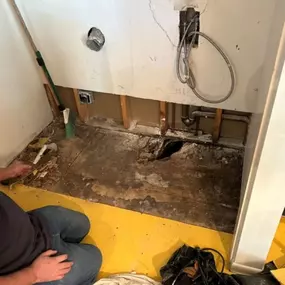 mold-damaged drywall