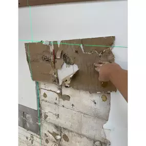 drywall mold remediation