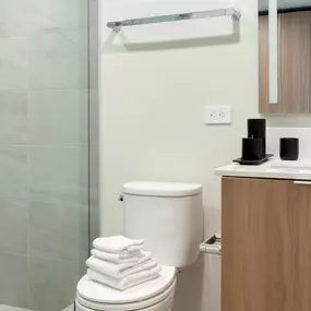 a bathroom with a toilet and a sink and a shower