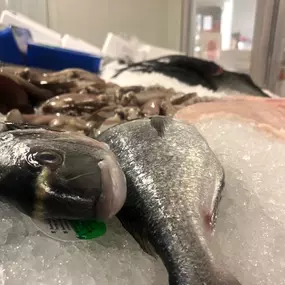 Sakis Fisch und Feinkost