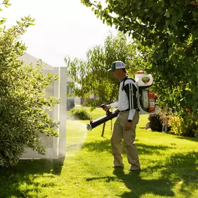 Mosquito Spraying