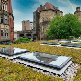 Bild von Falcus Roofing Ltd