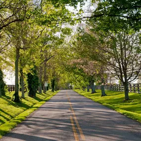 Bild von Bensville Crossing by Stanley Martin Homes