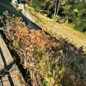 Bild von Ropes 4 Access Ltd