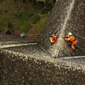 Bild von Ropes 4 Access Ltd