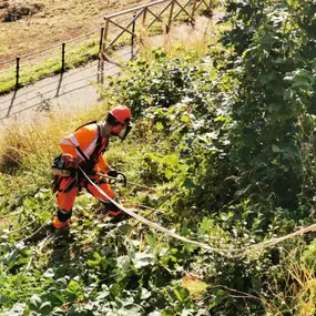 Bild von Ropes 4 Access Ltd