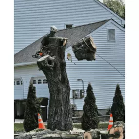 FT Tree Service on location in Washington Twp, NJ