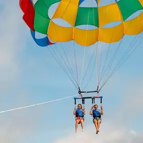 Bild von Duck/Corolla Parasail