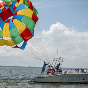 Bild von Duck/Corolla Parasail