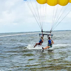 Bild von Duck/Corolla Parasail