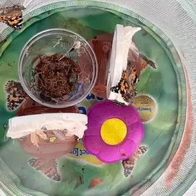 Bild von Learning Fun Preschool