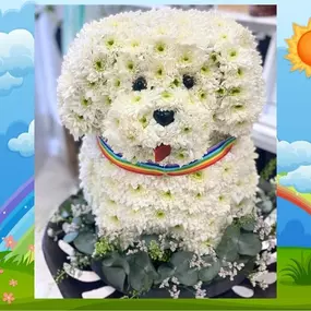 Bild von Austin Flowers of Romsley