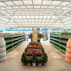 Bild von B&M Store with Garden Centre