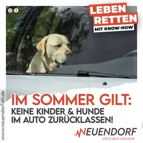 Bild von Neuendorf - Erste Hilfe und mehr