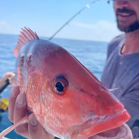 Bild von Eastern Tailz Outfitters