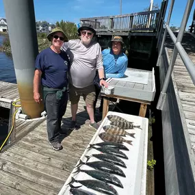 Bild von Eastern Tailz Outfitters