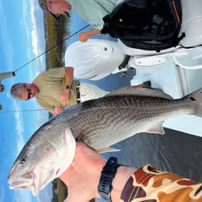Bild von Eastern Tailz Outfitters