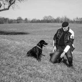 Bild von BAD DOG Hundeschule & Hundetraining für Problemhunde