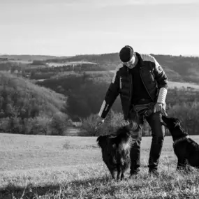 Bild von BAD DOG Hundeschule für Problemhunde
