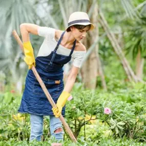 Bild von Allround Service Stielke