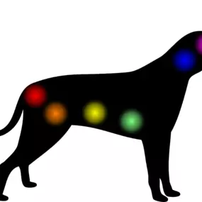 221061153-1-rkHLc0tWrX1681129009787.png