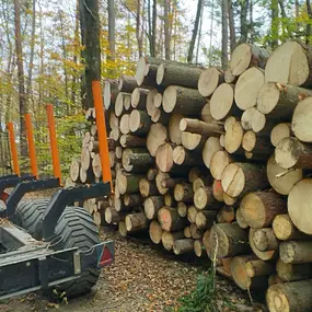 Bild von Schreiner Holzhandel