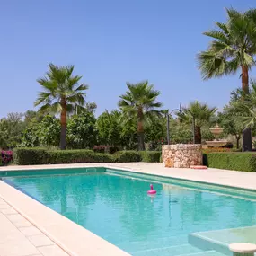 Austin Pool Times - Green Pool Clean-Up Services