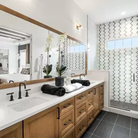 Spa-like primary bath