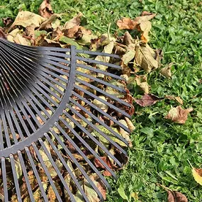 Bild von DZ Hauswartung und Gartenunterhalt